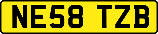 NE58TZB