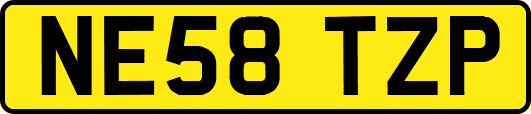 NE58TZP