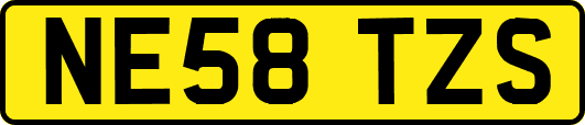 NE58TZS