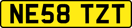 NE58TZT