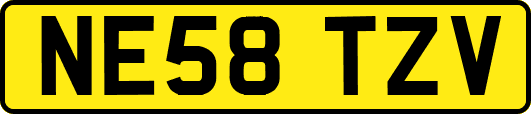 NE58TZV