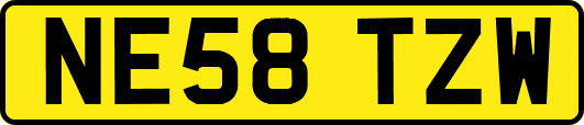 NE58TZW