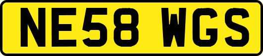 NE58WGS
