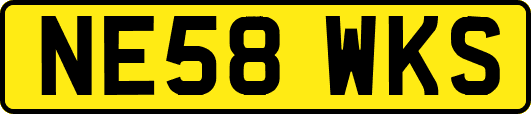 NE58WKS