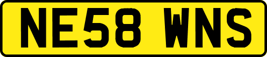 NE58WNS