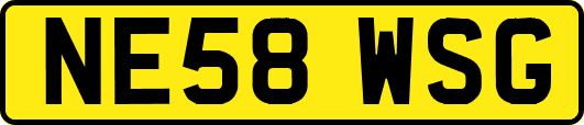 NE58WSG