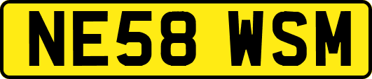 NE58WSM