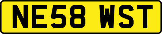 NE58WST