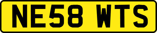 NE58WTS