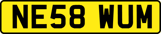 NE58WUM