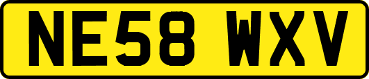 NE58WXV