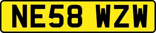 NE58WZW