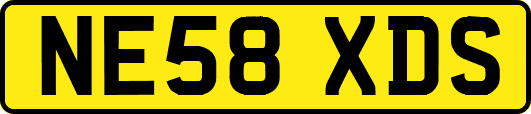 NE58XDS