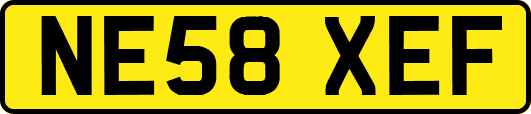 NE58XEF