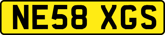 NE58XGS