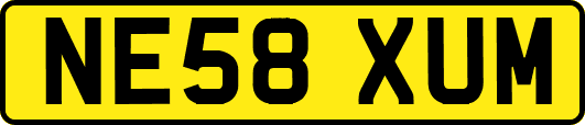 NE58XUM