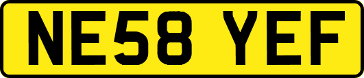 NE58YEF