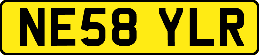 NE58YLR
