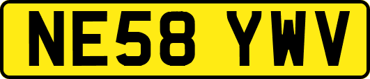 NE58YWV