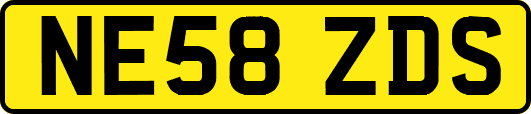 NE58ZDS