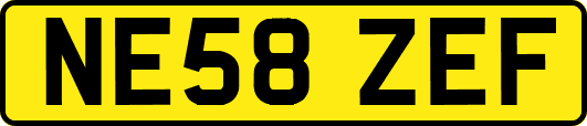NE58ZEF
