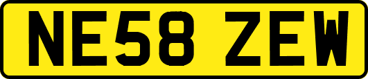 NE58ZEW