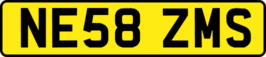 NE58ZMS