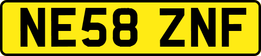NE58ZNF