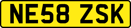 NE58ZSK