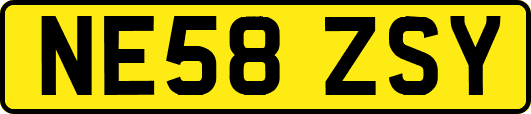 NE58ZSY