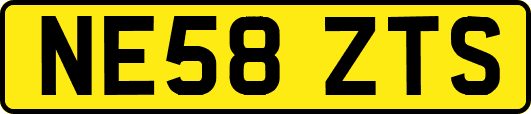 NE58ZTS