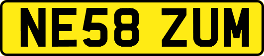 NE58ZUM