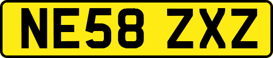 NE58ZXZ
