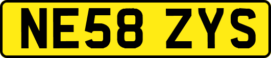 NE58ZYS