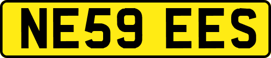 NE59EES