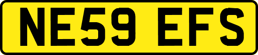NE59EFS