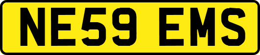 NE59EMS