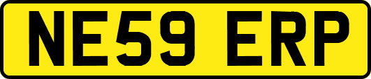 NE59ERP