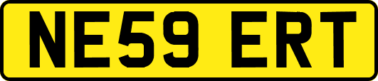 NE59ERT