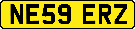 NE59ERZ
