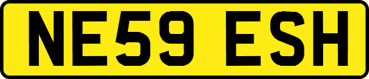 NE59ESH
