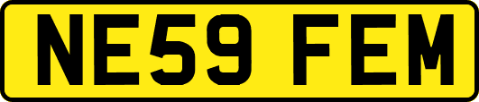 NE59FEM