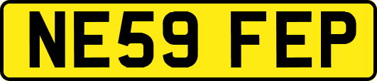 NE59FEP