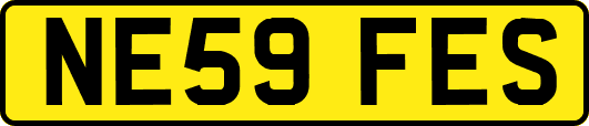 NE59FES