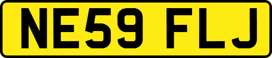 NE59FLJ