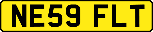 NE59FLT