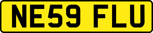 NE59FLU