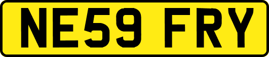 NE59FRY