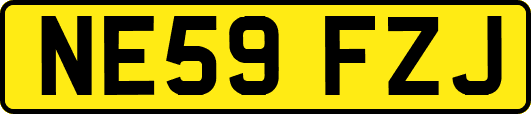 NE59FZJ