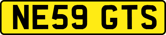 NE59GTS